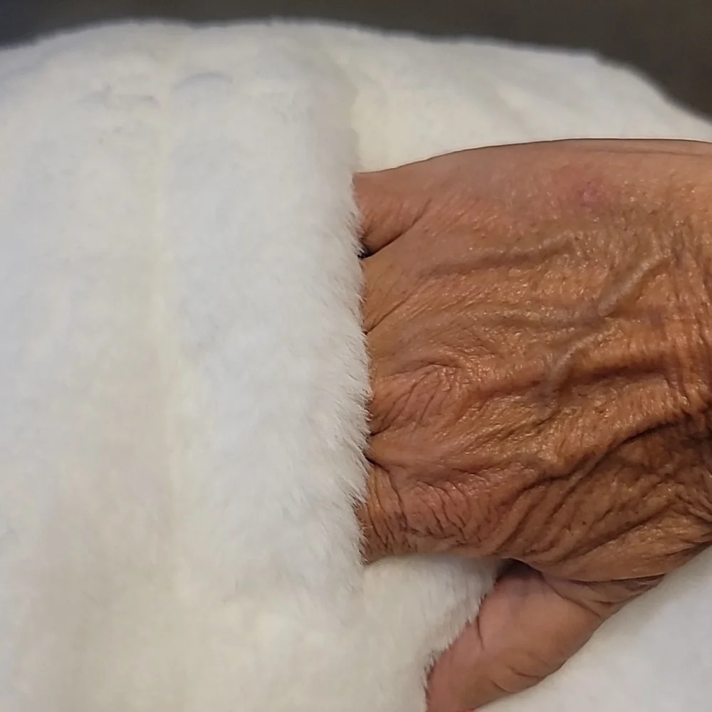 Ambiance Outerwear White Furry Jacket. NWOT - Picture 5 of 10